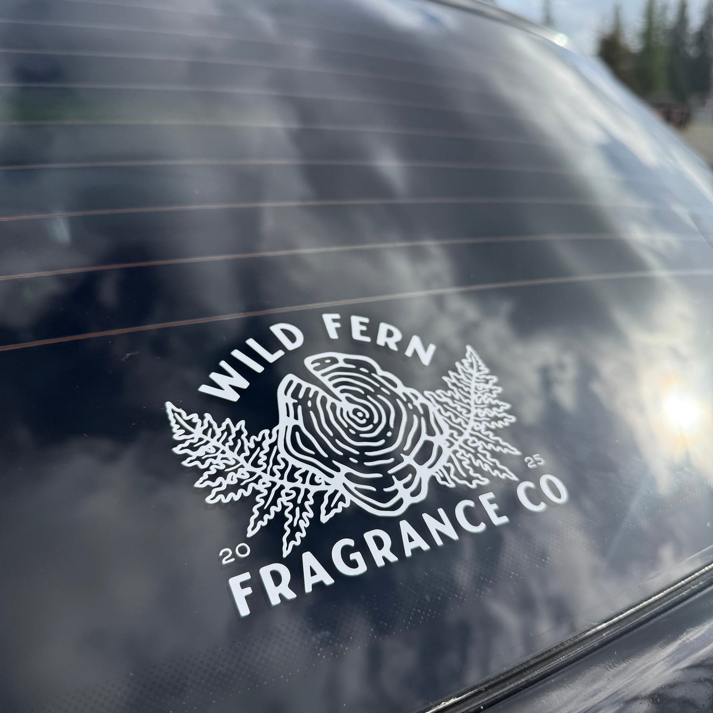 Wild Fern Large Decal